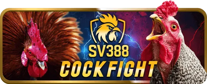 Khuyến mãi World Cup mn888 nhà cái